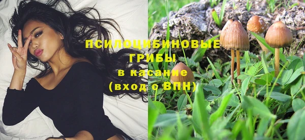 ALPHA PVP Осташков