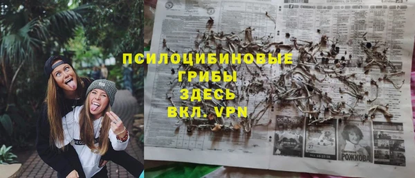 твердый Нязепетровск