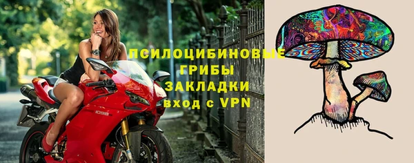 амф Няндома