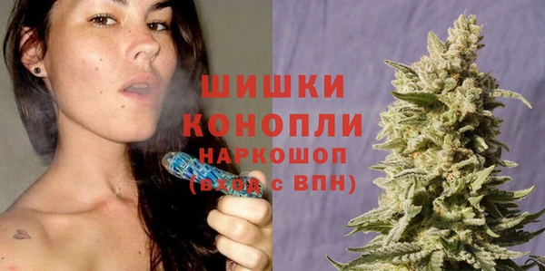 амф Няндома