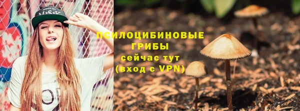 твердый Нязепетровск