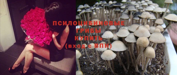 амф Няндома