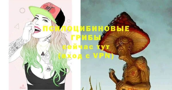 твердый Нязепетровск